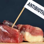 Think the Antibiotics in Your Food Are Decreasing? Think Again