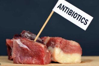 Think the Antibiotics in Your Food Are Decreasing? Think Again