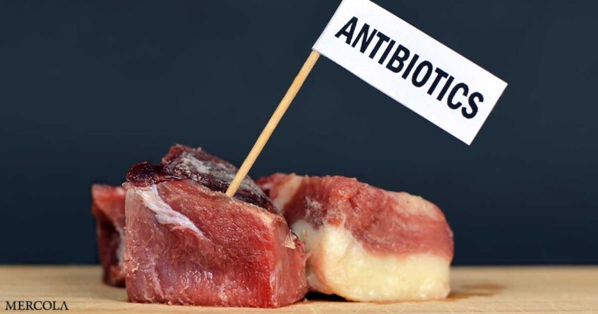 Think the Antibiotics in Your Food Are Decreasing? Think Again