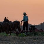 Traveling Back in Time - Life Lessons From the Amish