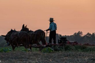 Traveling Back in Time - Life Lessons From the Amish