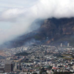 What’s Causing Cape Town to Smell? A Ship Full of Cows.