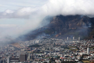 What’s Causing Cape Town to Smell? A Ship Full of Cows.