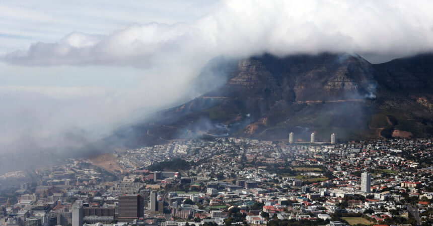 What’s Causing Cape Town to Smell? A Ship Full of Cows.