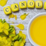 Canola Oil Proven to Destroy Your Body and Mind