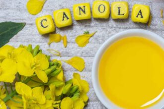 Canola Oil Proven to Destroy Your Body and Mind