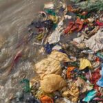 How Clothes Are Polluting the Food Supply