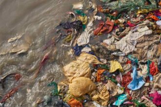 How Clothes Are Polluting the Food Supply