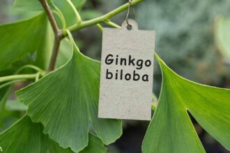 How Ginkgo Biloba Can Help Cognitive Recovery After a Stroke