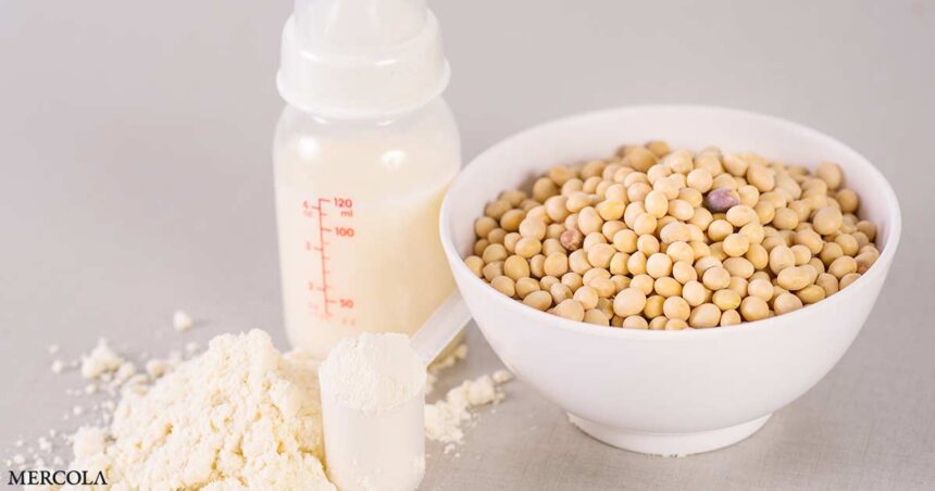 Infant Soy Formula - A Risky Public Experiment