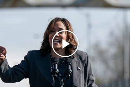 Kamala Harris Calls for ‘Immediate Cease-Fire’ in Gaza