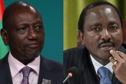 Kenya : Ruto woos opposition leader Kalonzo Musyoka