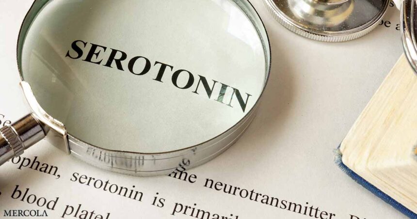 Media Twists Findings of Study Linking High Serotonin to Dementia