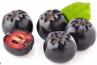 What Are the Health Benefits of Aronia (Chokeberries)?