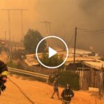 ‘No Water in the Hydrants’: Communities Left Defenseless Against Chile’s Deadliest Wildfire