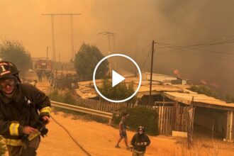 ‘No Water in the Hydrants’: Communities Left Defenseless Against Chile’s Deadliest Wildfire